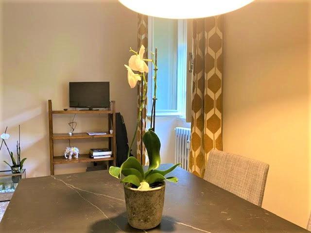 Duchi Di Castro Chic Apartment Roma Ngoại thất bức ảnh